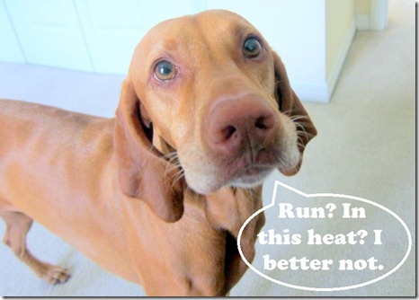 running in heat
