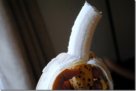 salmon scrambled eggs 013