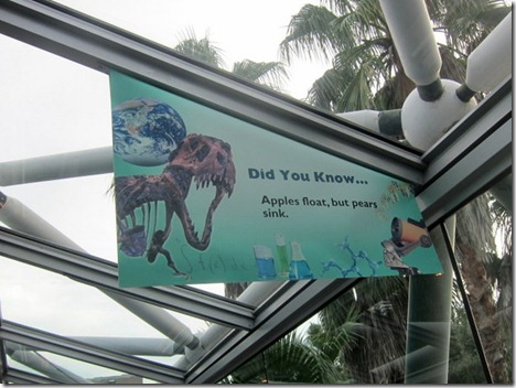 apples float pears sink