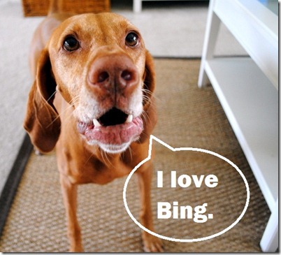 bing