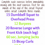 fast circuit workout