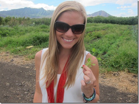 fish market oahu 034