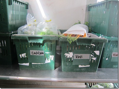 fish market oahu 037