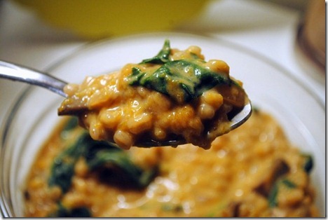 goat cheese butternut squash barley risotto