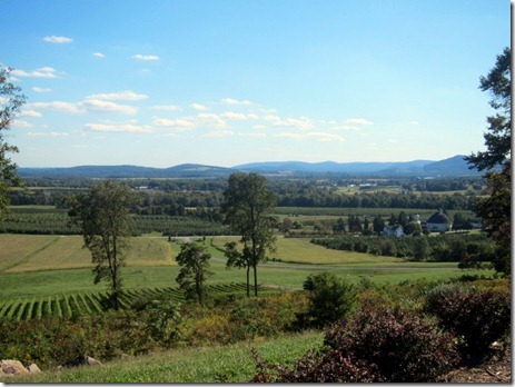 hauser estate winery 024