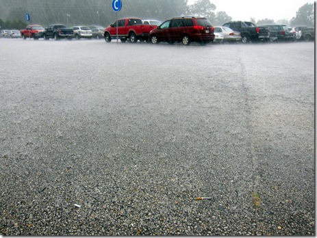 jacksonville airport 005