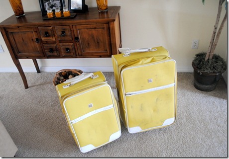 nicole miller suitcase