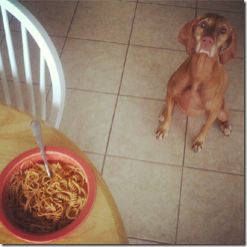 sadie wants pasta