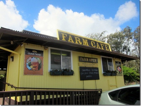 shrimp truck oahu 015
