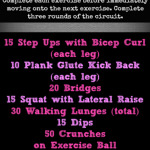 total body circuit workout