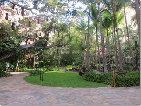 waikiki 011