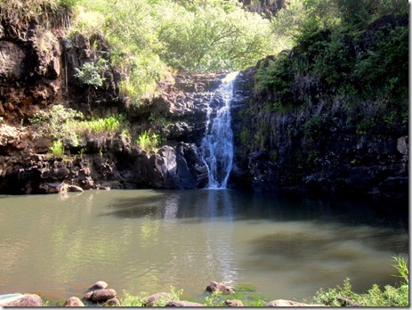 waimea falls 014