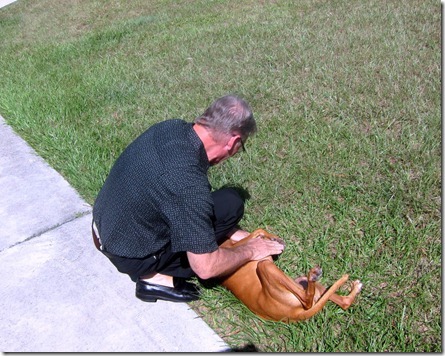 Horse and Hounds Ocala 009