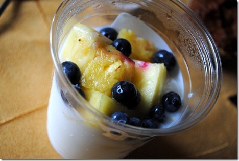 fruit and yogurt parfait publix
