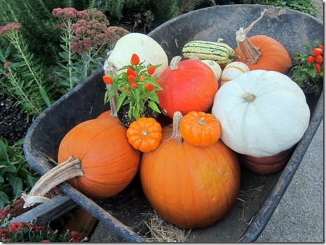 harry and david event 012