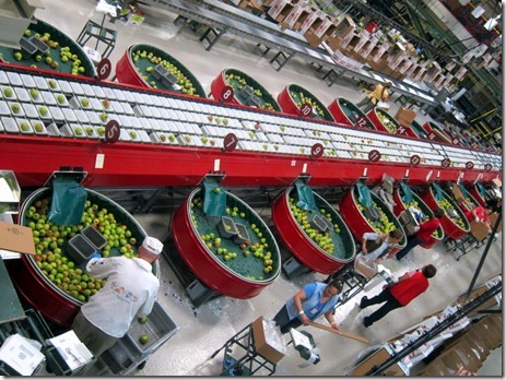 harry and david gift baskets 041