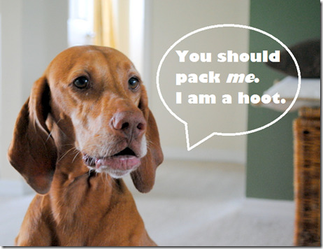pack me
