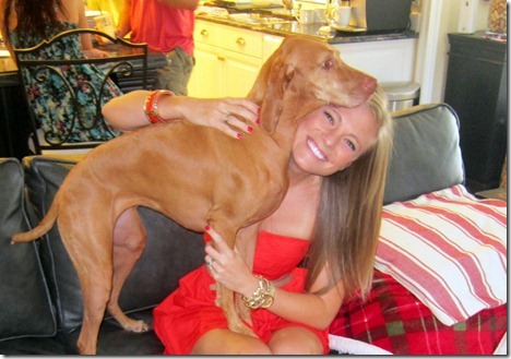 velcro dog