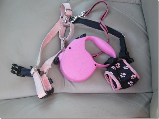 Pink Retractable Dog Leash
