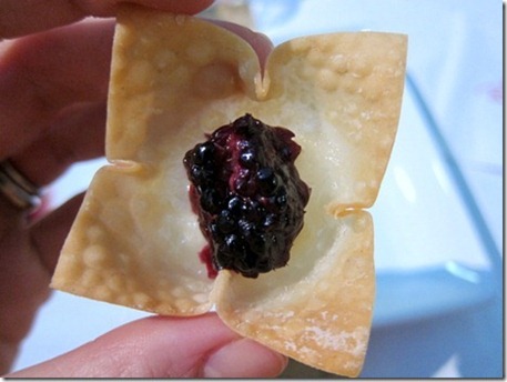 brie-and-blackberry-wonton-wrapper_thumb