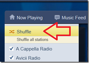 pandora shuffle