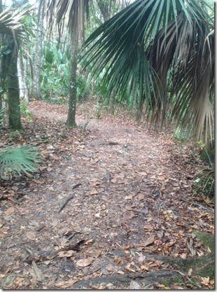 photo (2)