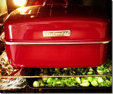 roasting turkey pan