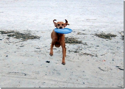 IMG_1363-001 IMG_1363-001