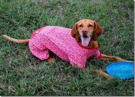 dog pajamas red 037