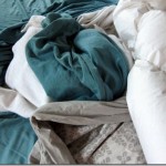 dog under covers dog under covers