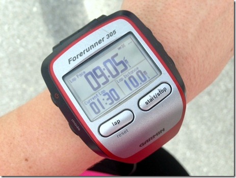 garmin 305
