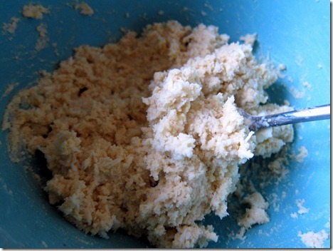 homemade protein bars 001