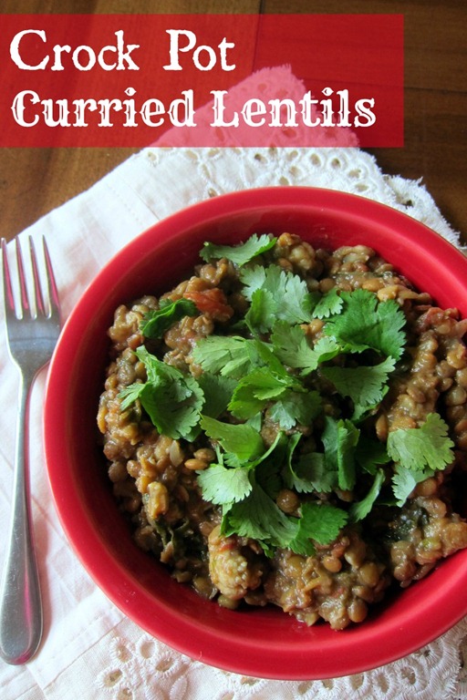Crock Pot Curried Lentils Peanut Butter Fingers