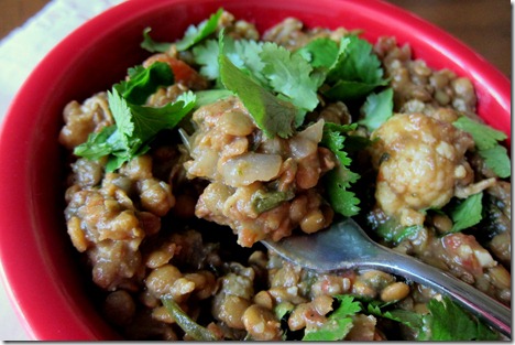 Crock Pot Lentils with Curry