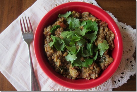 Curried Lentils in the Crock Pot
