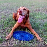 Sadie outside Sadie outside