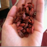goji berries goji berries