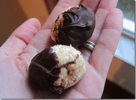 protein balls