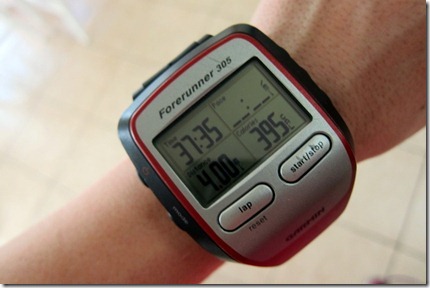 Garmin 305