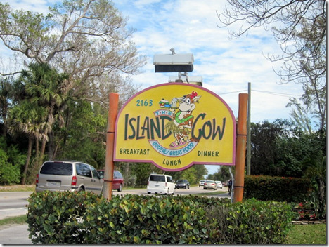 The Island Cow