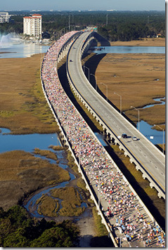 donna 26.2