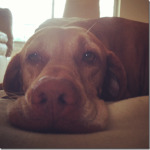 photo (1)