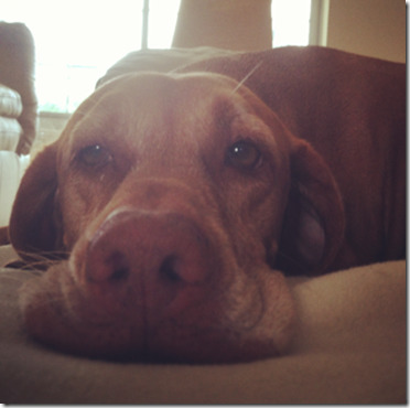 photo (1)