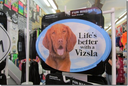 Life is Better With a Vizsla