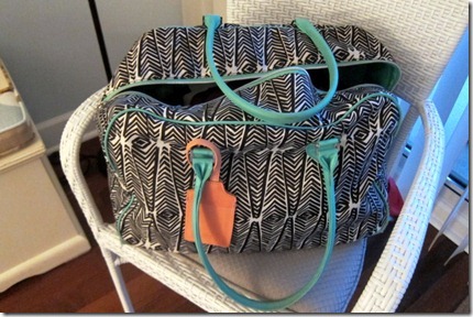 sonia kashuk bag