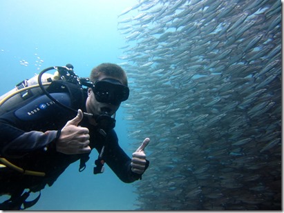 Ryan school of fish