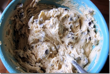 Chocolate chip cookie dough