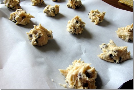Cookie dough 074-001