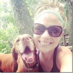 Happy Vizsla Sadie Happy Vizsla Sadie