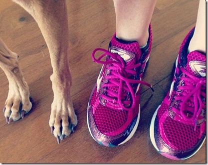 Running with Dog